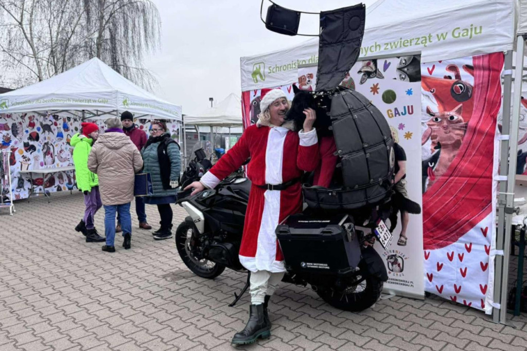 Kiermasz Świąteczny w schronisku