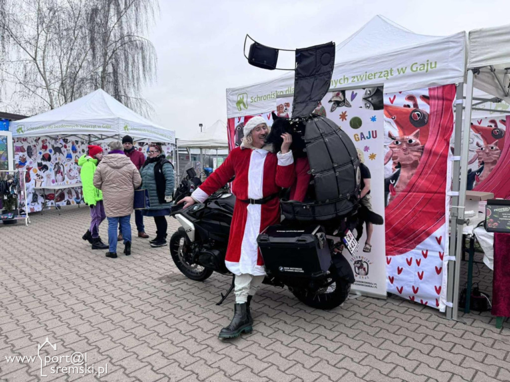 Kiermasz Świąteczny w schronisku