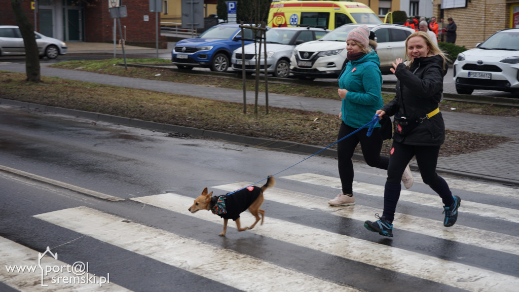 Bieg - Policz się z cukrzycą