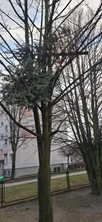 Zniszczony plac zabaw przy ul. Komorowskiego