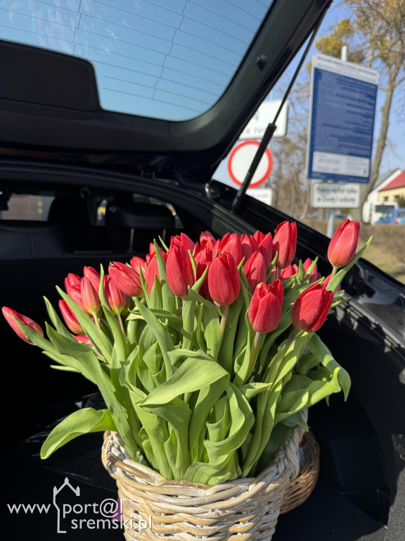 Dzień Kobiet z Auto Compol i portalem