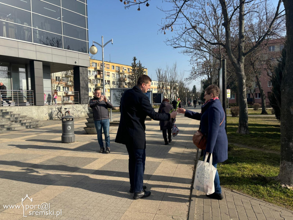 Burmistrz rozdawał tulipany