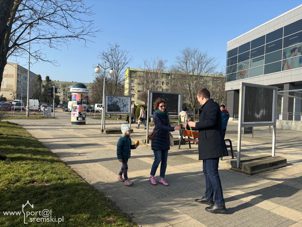 Burmistrz rozdawał tulipany