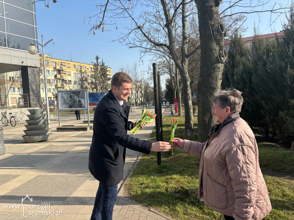 Burmistrz rozdawał tulipany