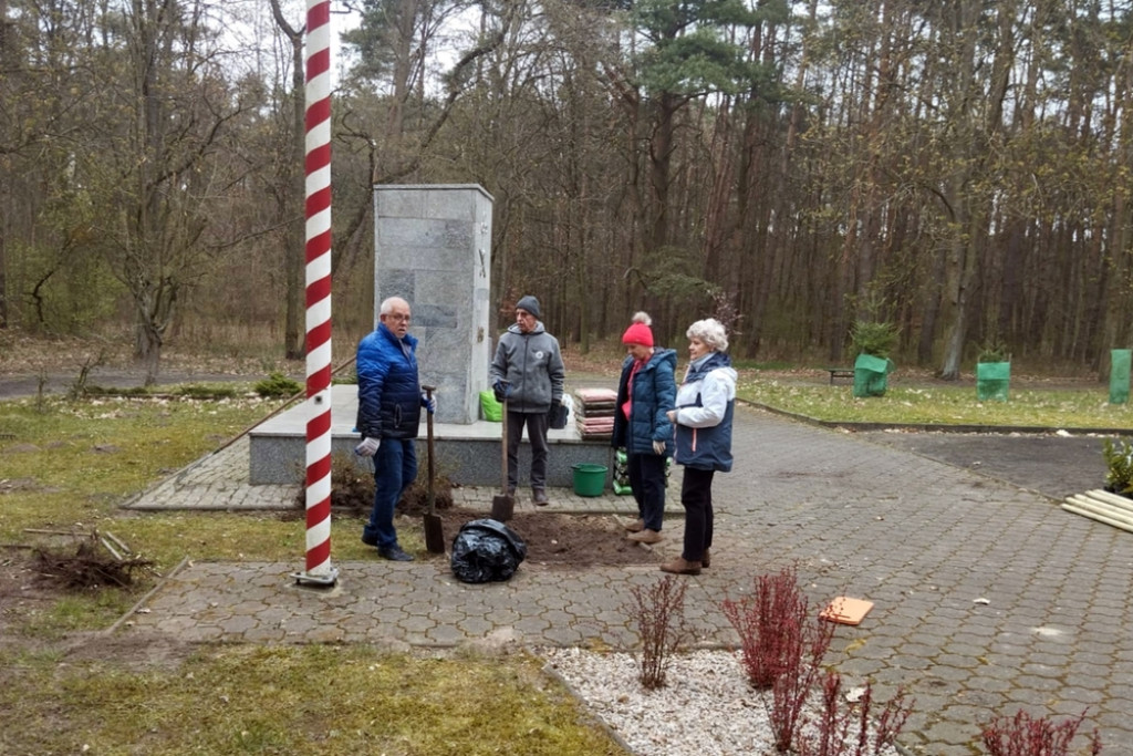 Nowe nasadzenia w śremskich parkach