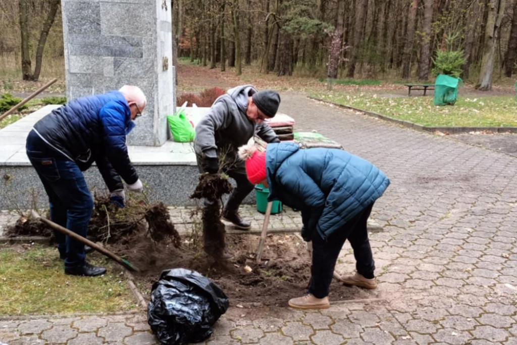 Nowe nasadzenia w śremskich parkach