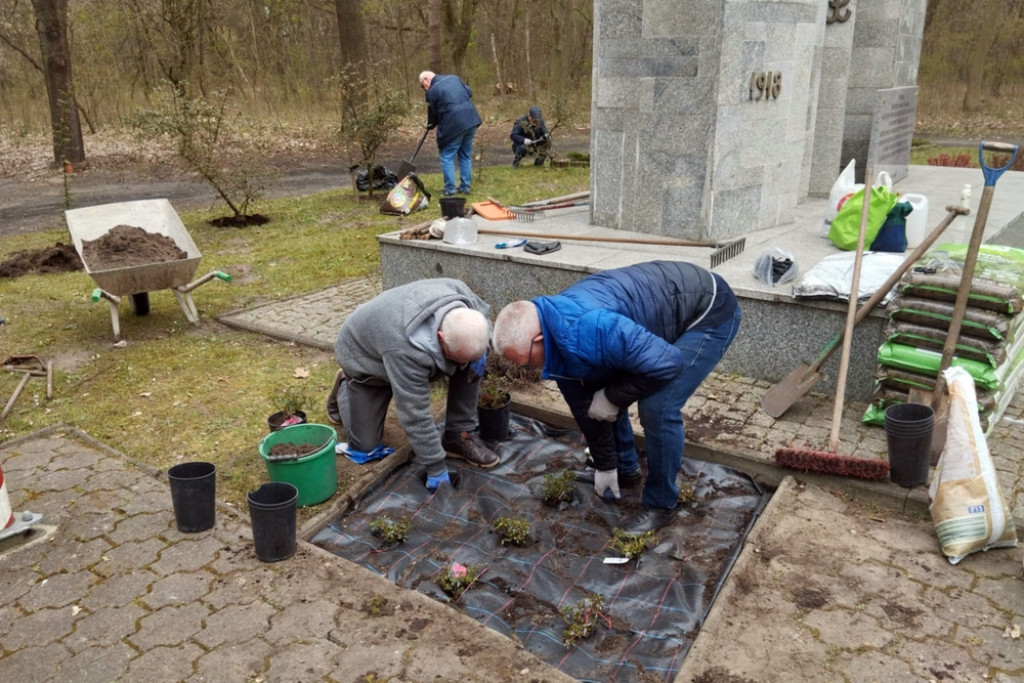 Nowe nasadzenia w śremskich parkach