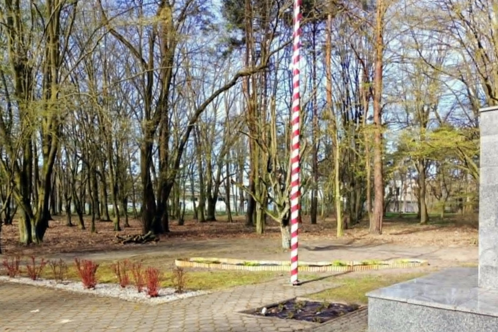 Nowe nasadzenia w śremskich parkach