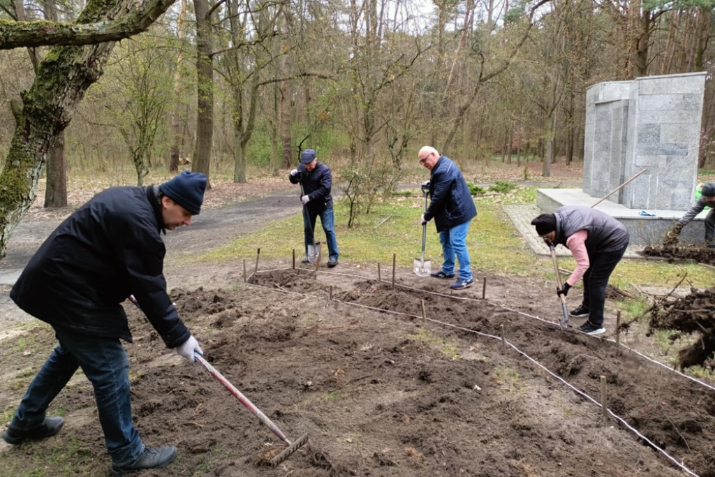 Nowe nasadzenia w śremskich parkach