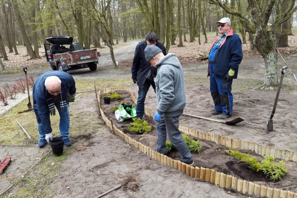 Nowe nasadzenia w śremskich parkach