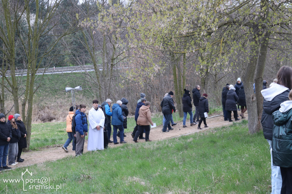 Droga Krzyżowa w Dolsku