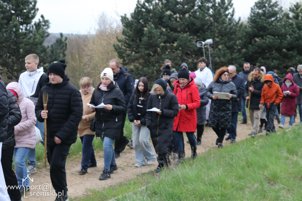 Droga Krzyżowa w Dolsku