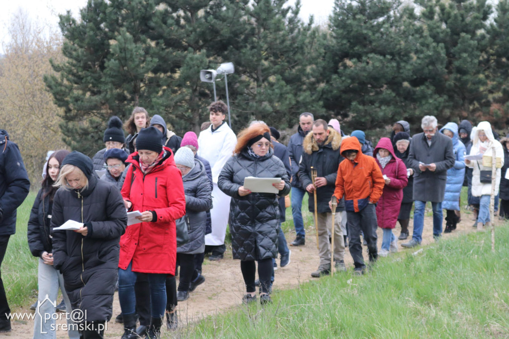 Droga Krzyżowa w Dolsku