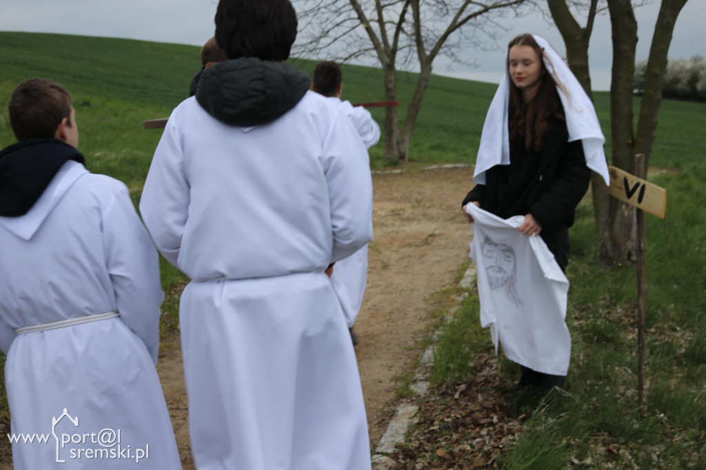 Droga Krzyżowa w Dolsku