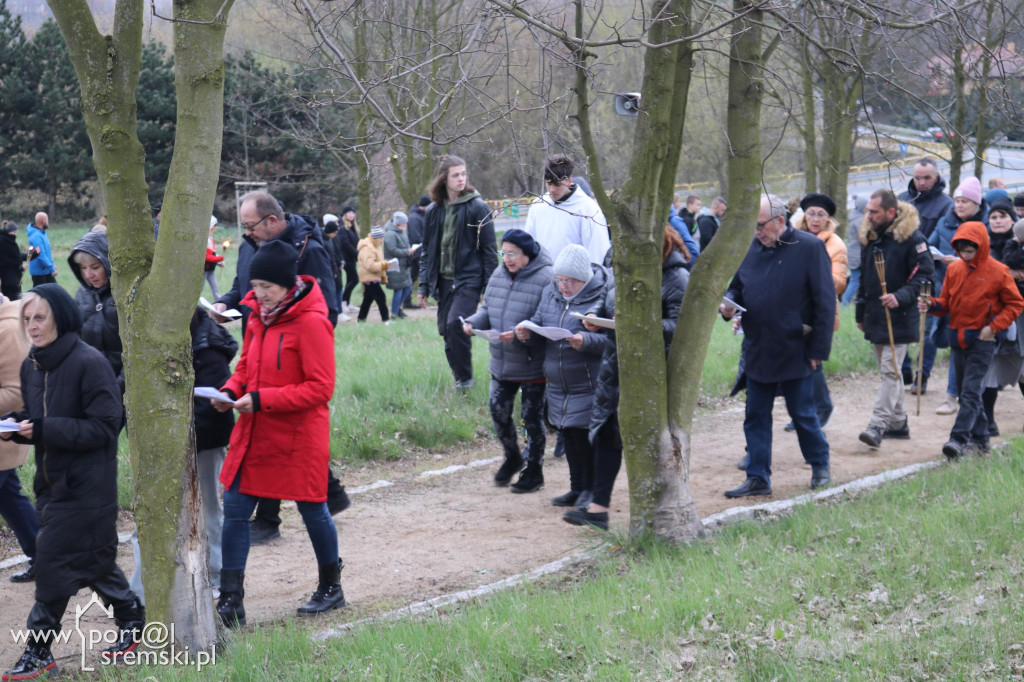 Droga Krzyżowa w Dolsku