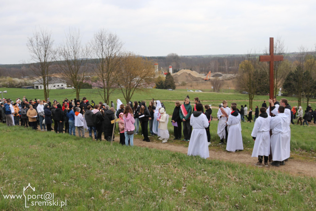 Droga Krzyżowa w Dolsku