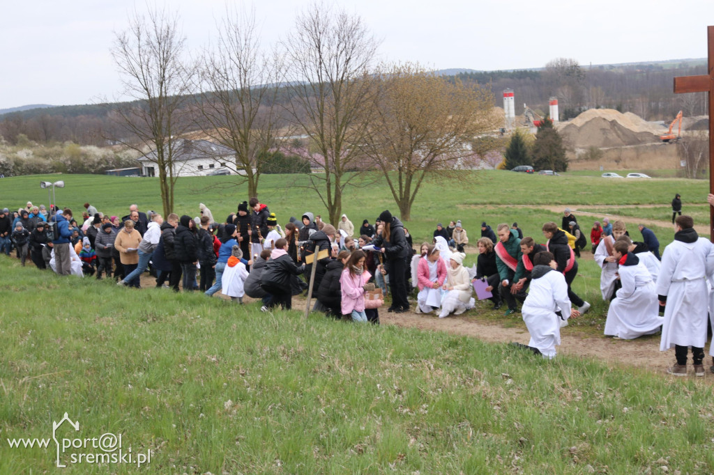 Droga Krzyżowa w Dolsku