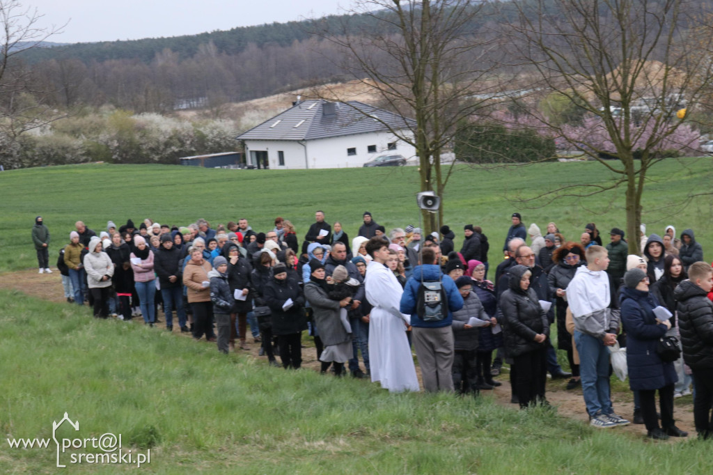 Droga Krzyżowa w Dolsku