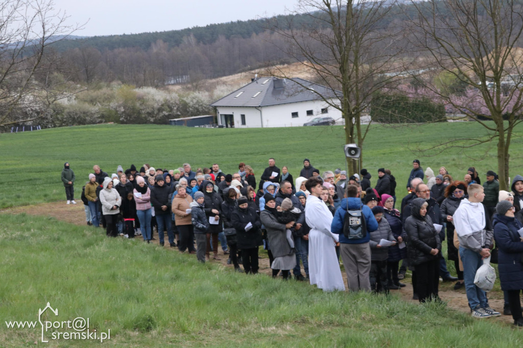 Droga Krzyżowa w Dolsku