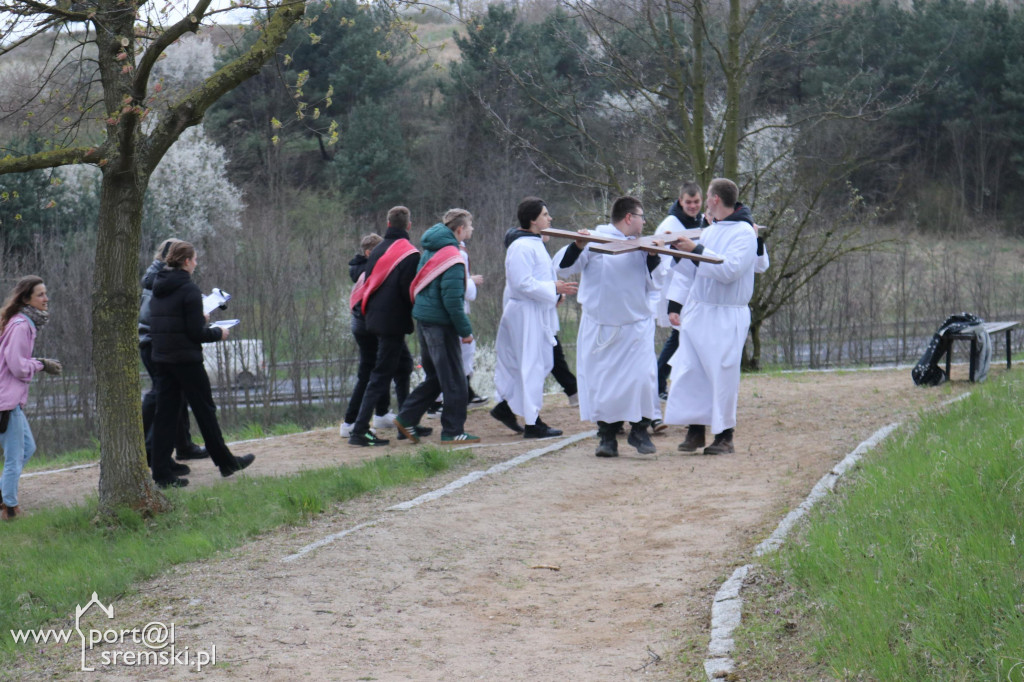Droga Krzyżowa w Dolsku