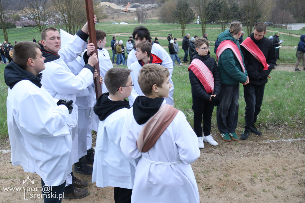 Droga Krzyżowa w Dolsku