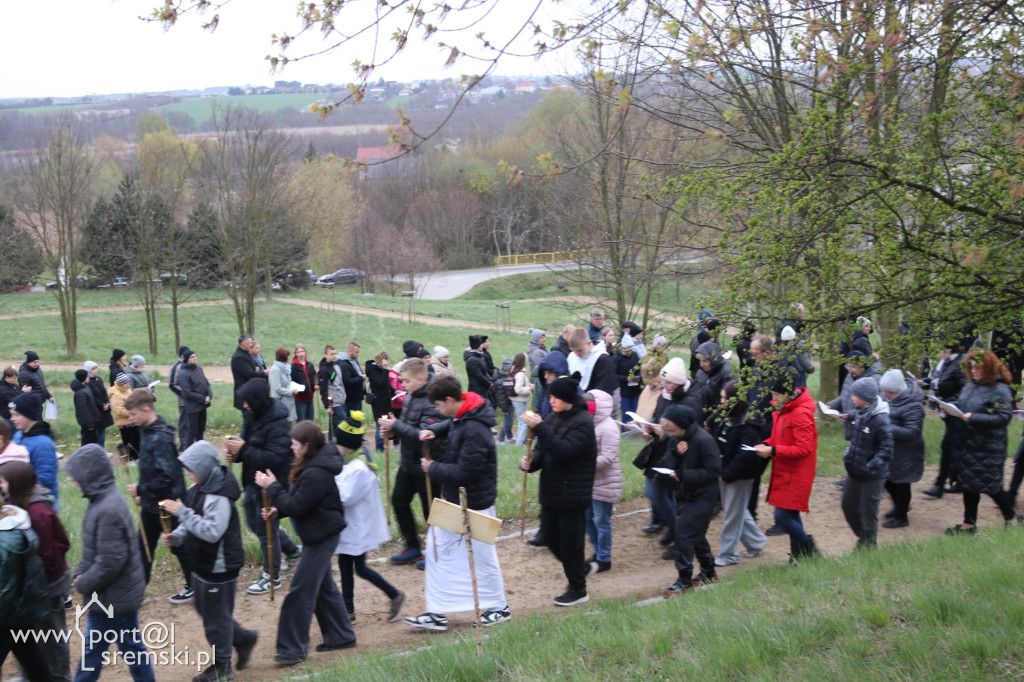 Droga Krzyżowa w Dolsku