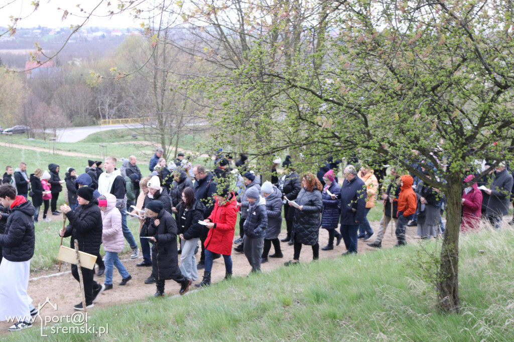 Droga Krzyżowa w Dolsku