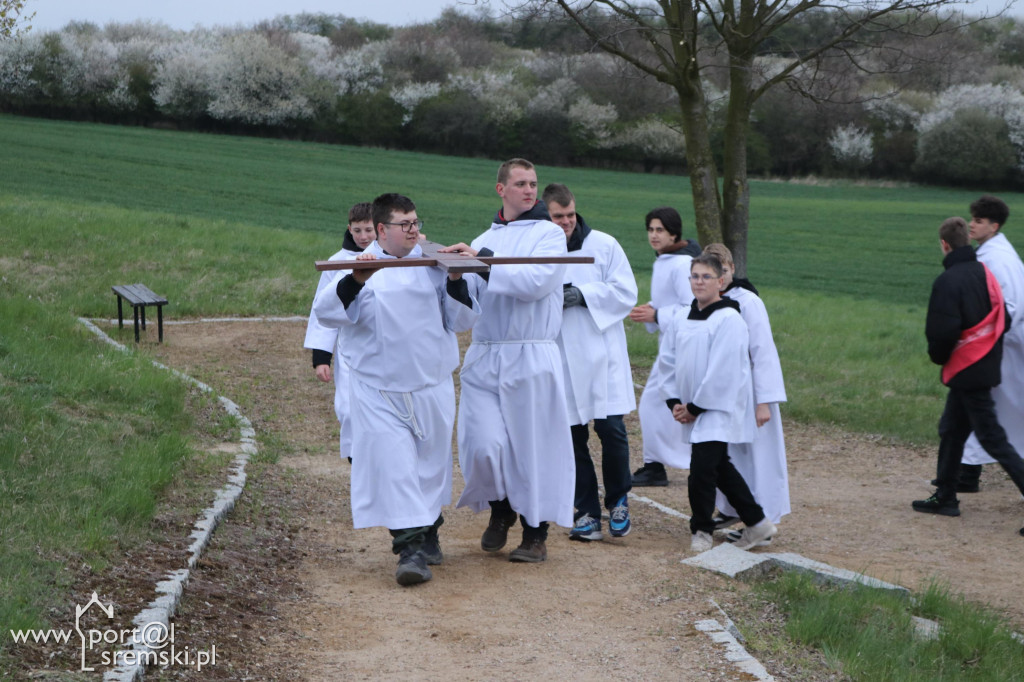 Droga Krzyżowa w Dolsku