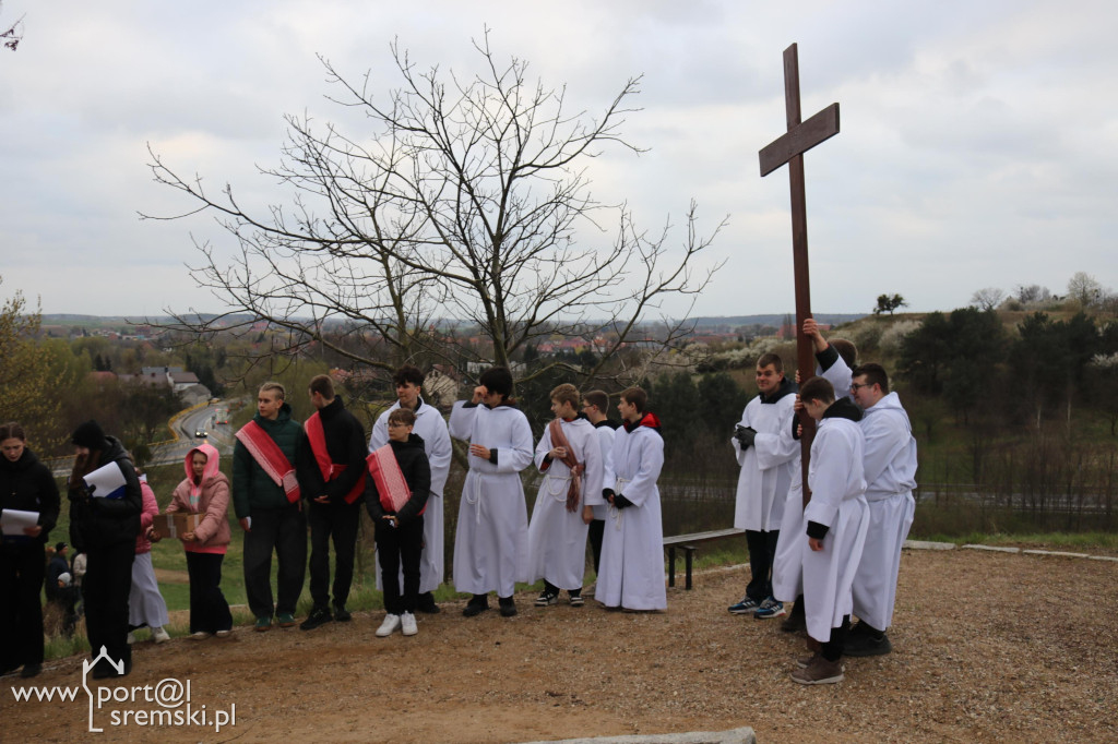Droga Krzyżowa w Dolsku