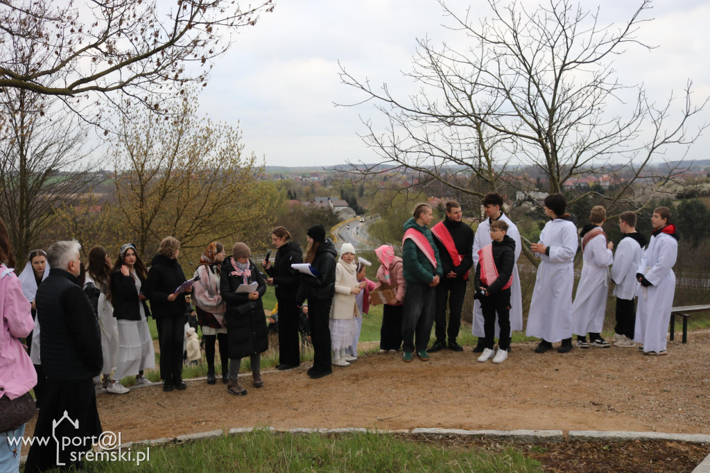 Droga Krzyżowa w Dolsku