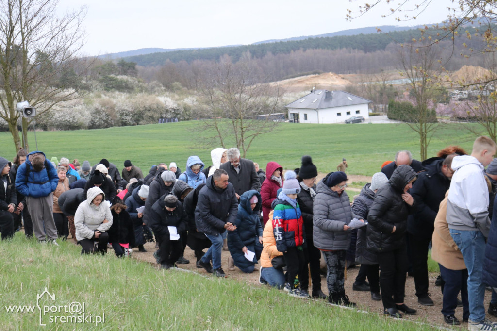 Droga Krzyżowa w Dolsku