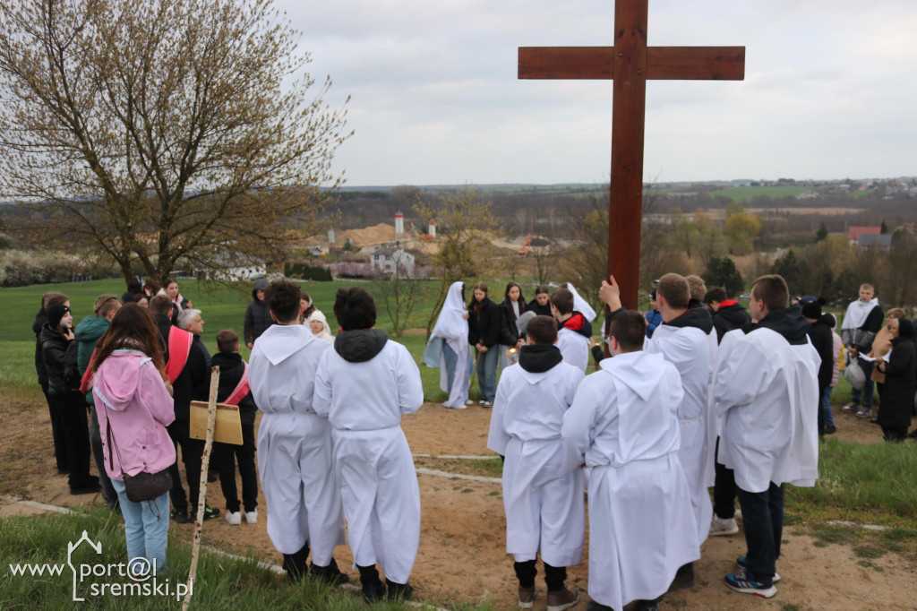 Droga Krzyżowa w Dolsku