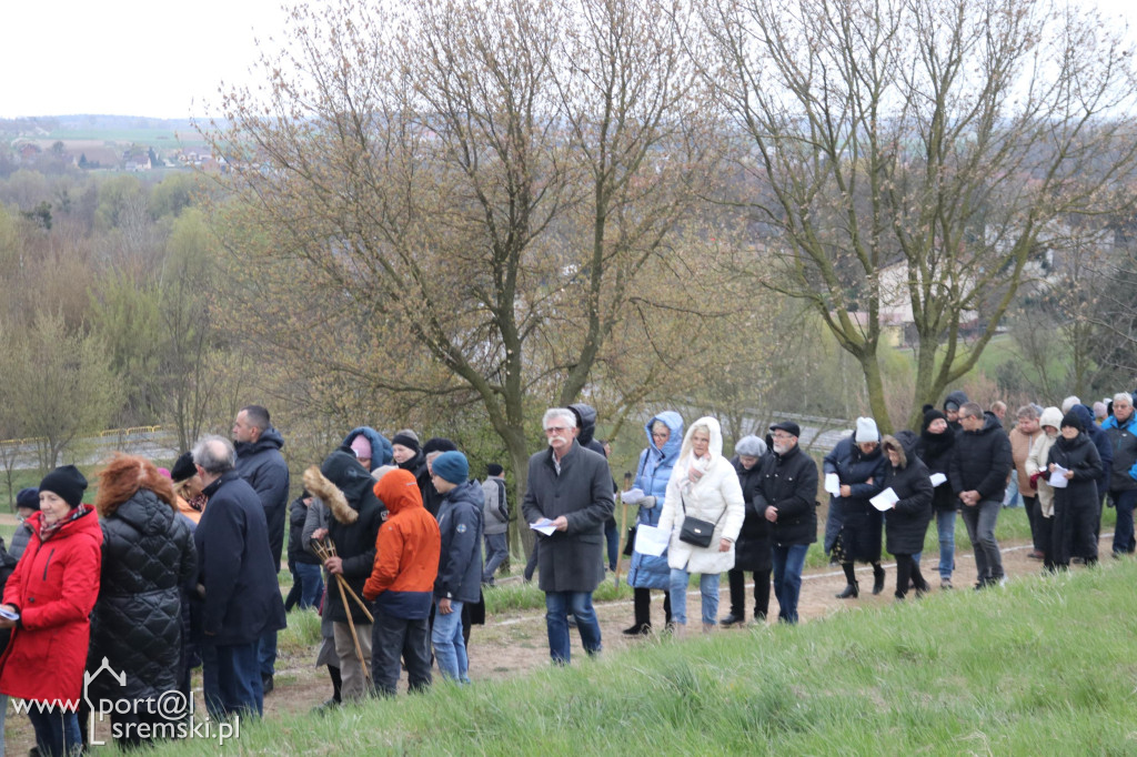 Droga Krzyżowa w Dolsku