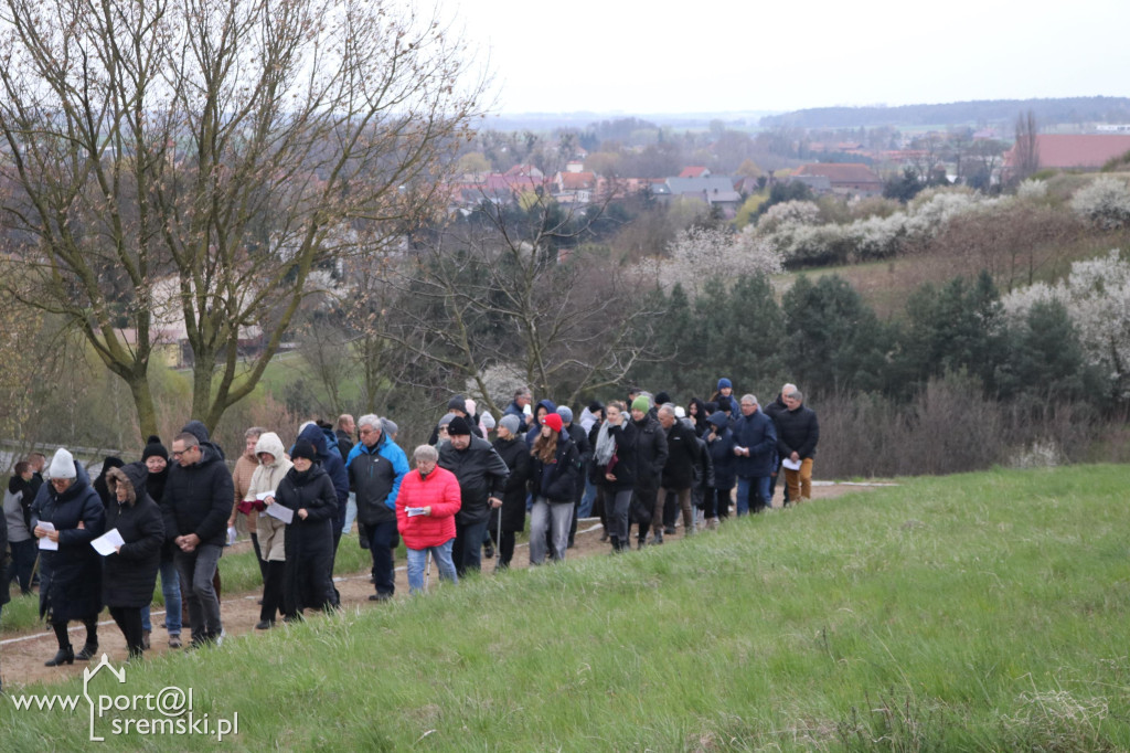 Droga Krzyżowa w Dolsku