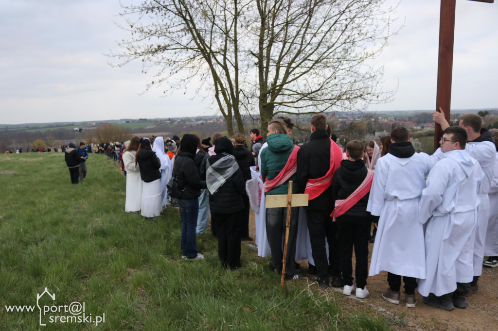 Droga Krzyżowa w Dolsku