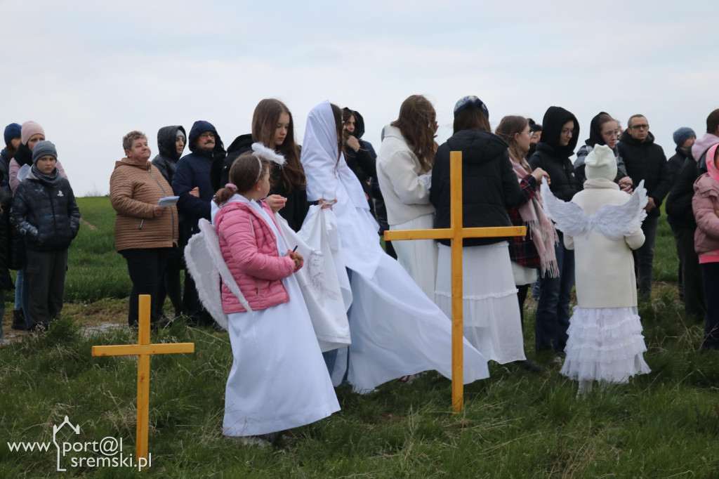 Droga Krzyżowa w Dolsku