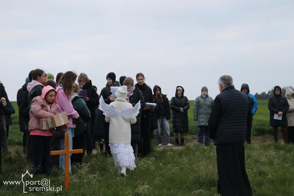 Droga Krzyżowa w Dolsku