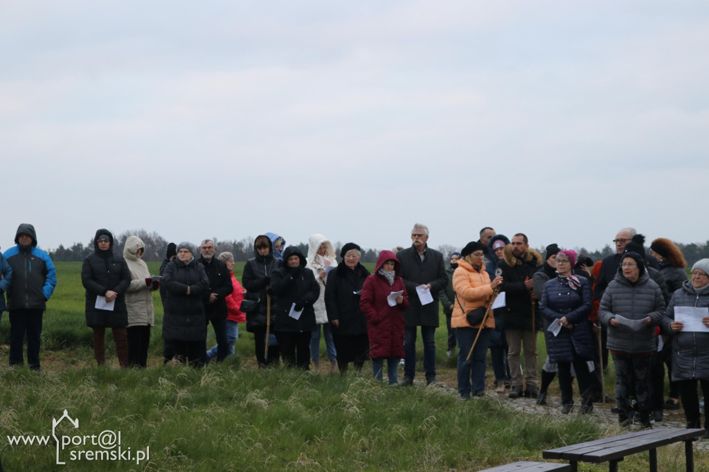Droga Krzyżowa w Dolsku