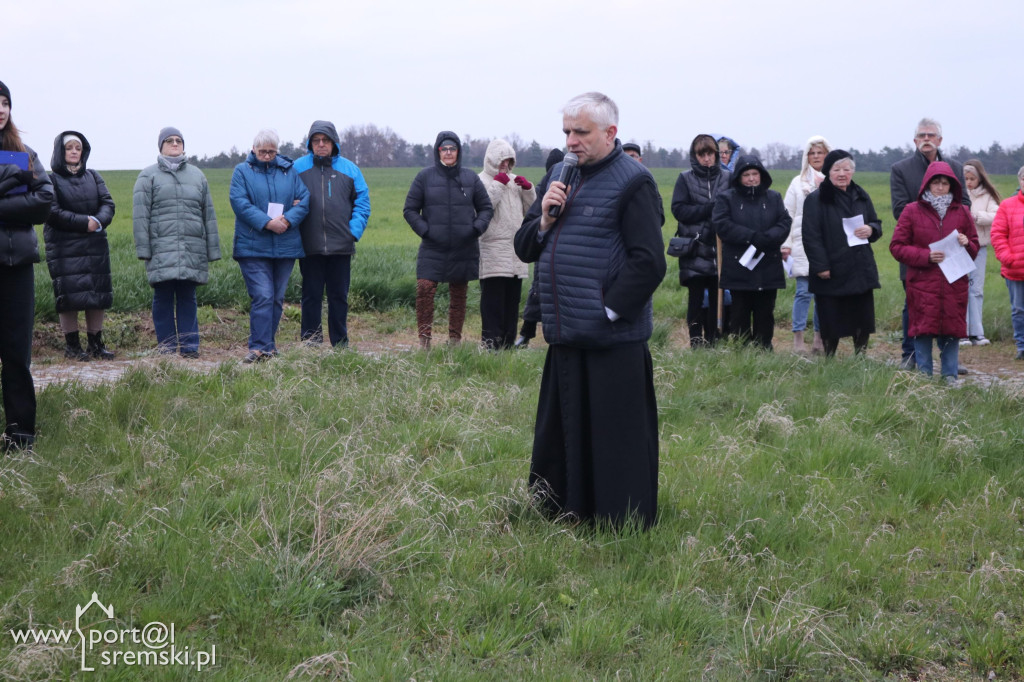 Droga Krzyżowa w Dolsku