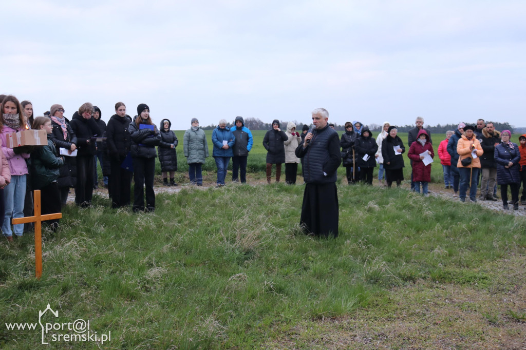 Droga Krzyżowa w Dolsku