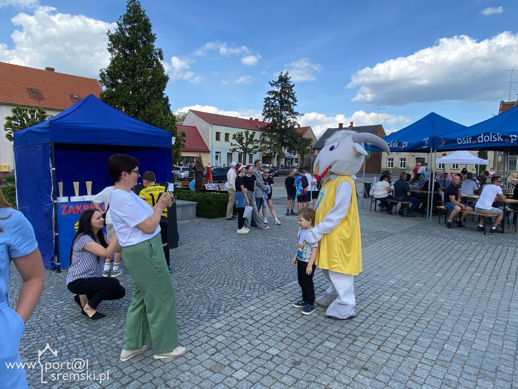 Kozi Jarmark w Dolsku