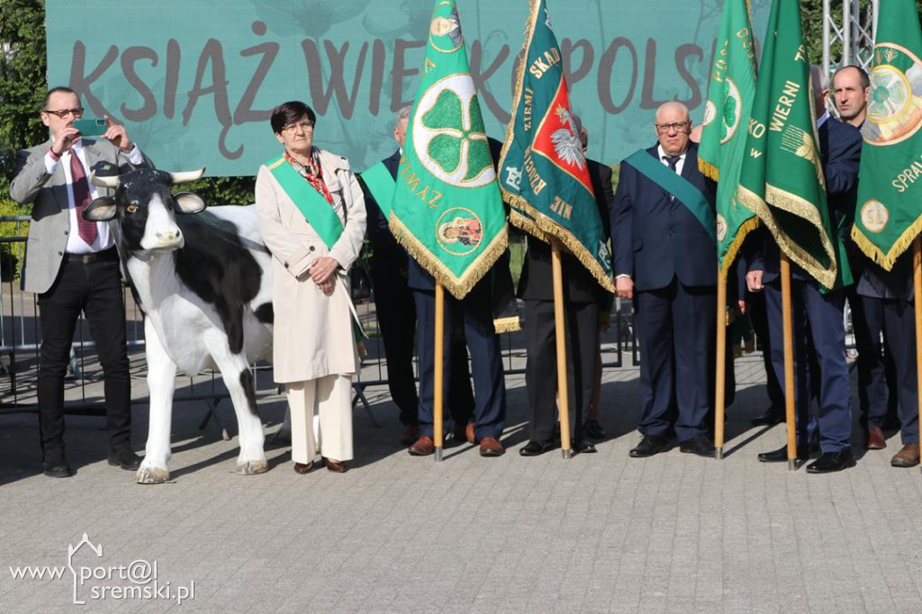 Jarmark w Książu Wlkp,