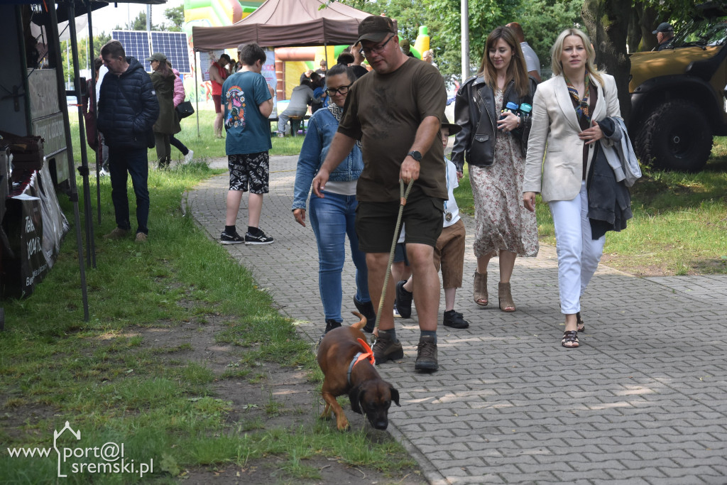 Piknik myśliwski w Śremie