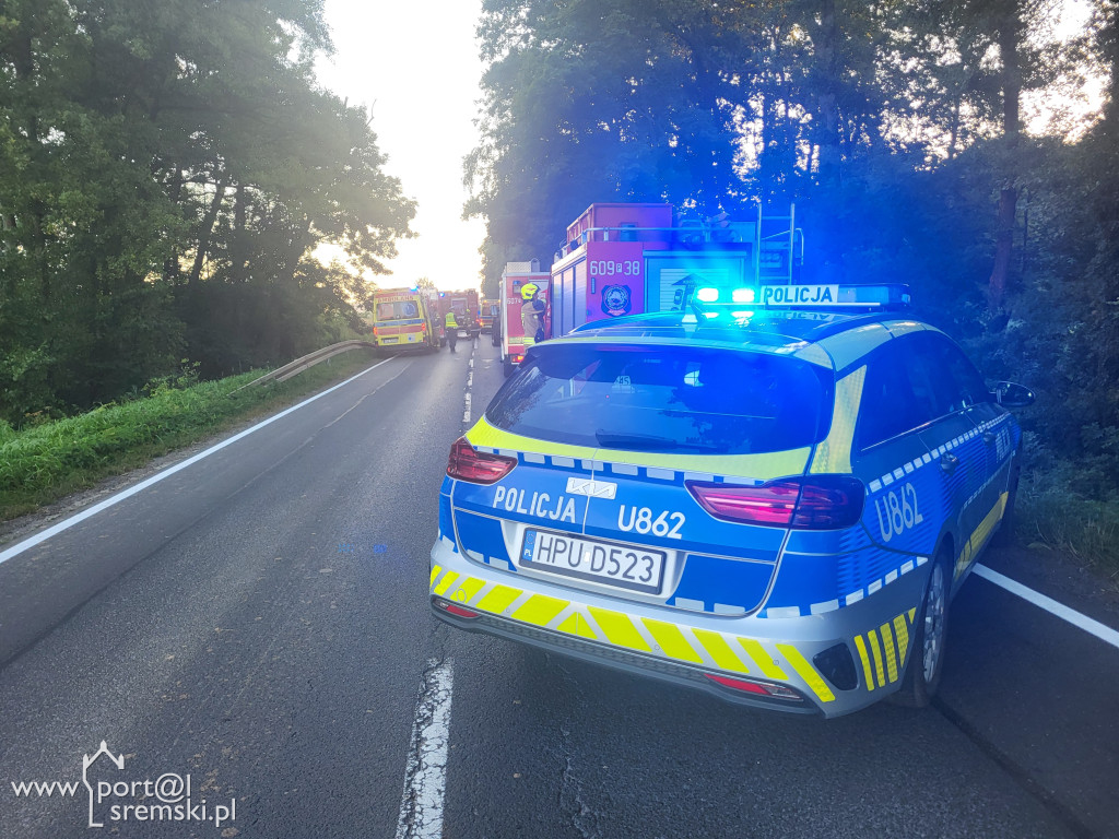 Wypadek na drodze Śrem - Zaniemyśl