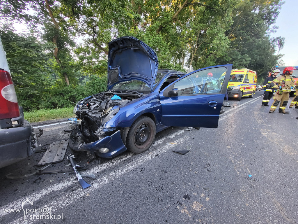Wypadek na drodze Śrem - Zaniemyśl