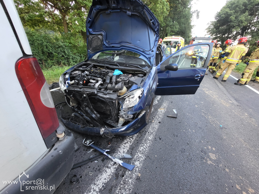 Wypadek na drodze Śrem - Zaniemyśl