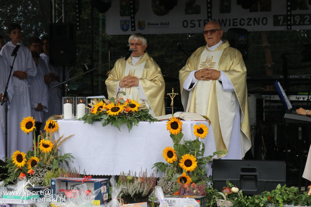 Dożynki w Ostrowiecznie