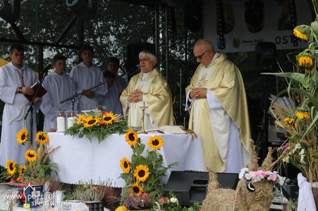 Dożynki w Ostrowiecznie