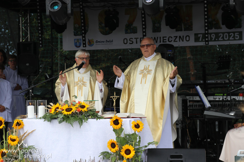 Dożynki w Ostrowiecznie
