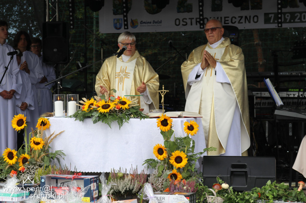 Dożynki w Ostrowiecznie